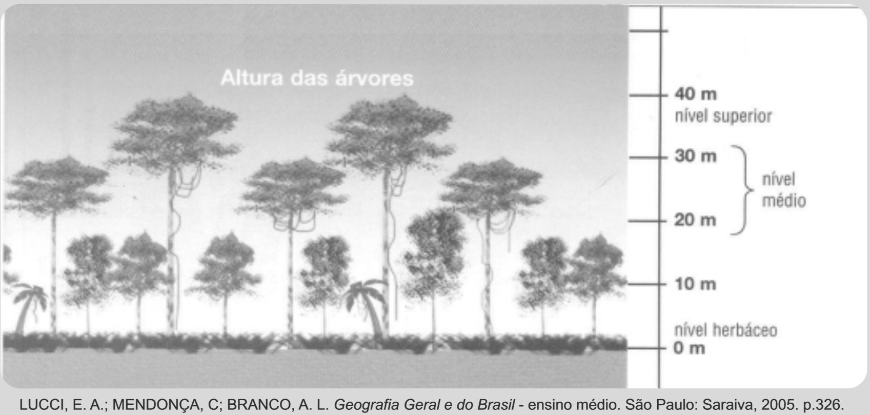 EXBIEX19 Em Rela u00e7 u00e3o Ao Perfil Da Vege Quest es ENEM exbiex19-em-rela-u00e7-u00e3o-ao-perfil-da-vege-quest-es-enem