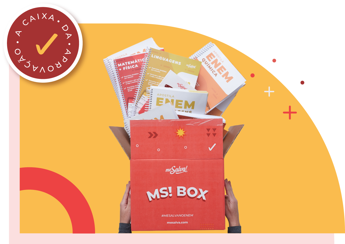 MS! BOX: Uma caixa cheia de APROVACÃO